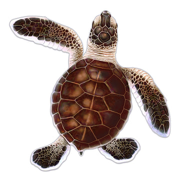 PORC-TH85B	Turtle Hatchling B - Brown	| Custom Mosaics Pool Mosaic