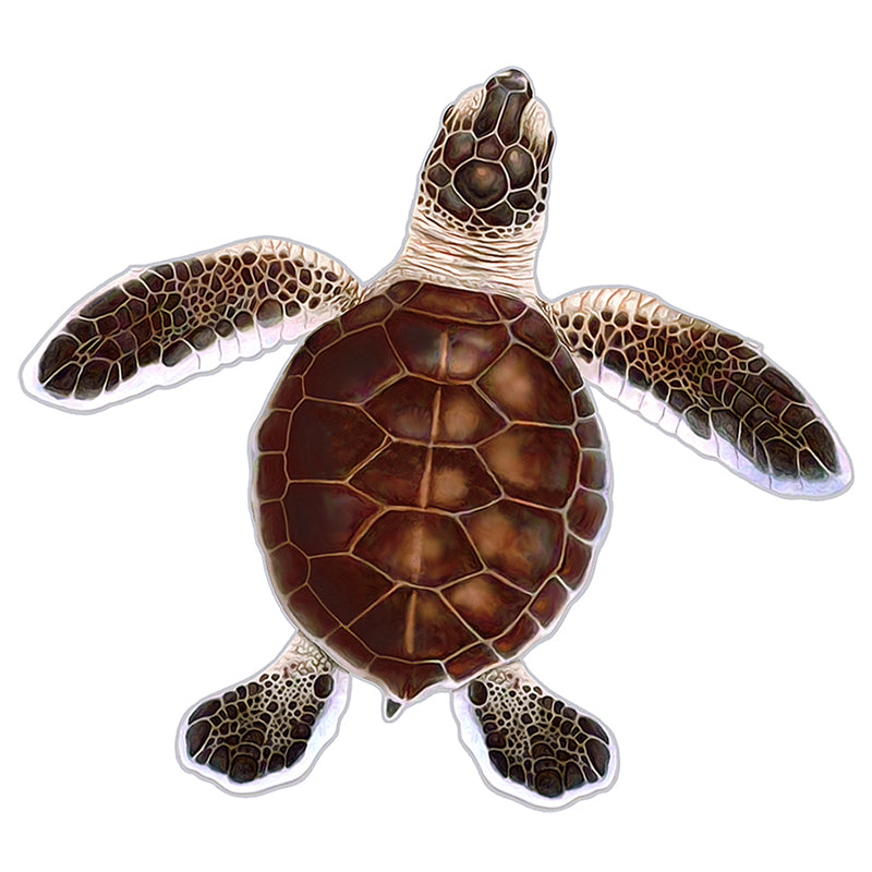 PORC-TH85C	Turtle Hatchling C - Brown	| Custom Mosaics Pool Mosaic