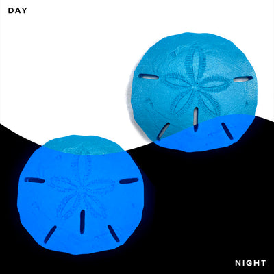 Sand Dollar x 2 | SAND-L2 | Glow in the Dark Pool Mosaics