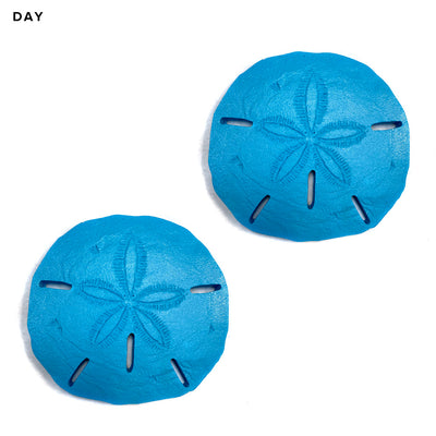 Sand Dollar x 2 | SAND-L2 | Glow in the Dark Pool Mosaics