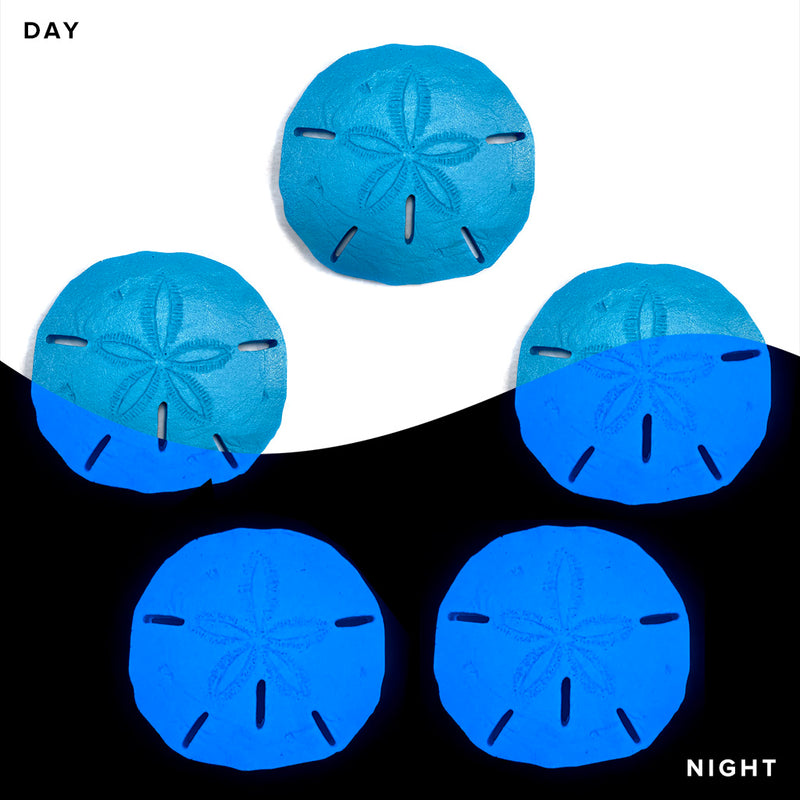 Sand Dollar x 5 | SAND-L5 | Glow in the Dark Pool Mosaics