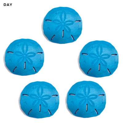 Sand Dollar x 5 | SAND-L5 | Glow in the Dark Pool Mosaics