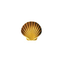Seashell - Tan 5" - Pool Mosaic