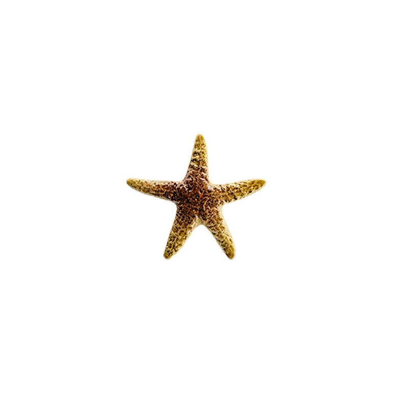 Starfish - Tan 5" | STATANB | Pool Mosaic