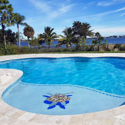 Loggerhead Turtle w/Shadow - Pool Mosaic