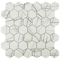 Howlite, Hexagon Mosaic - Glass Tile