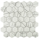 Howlite, Hexagon Mosaic - Glass Tile