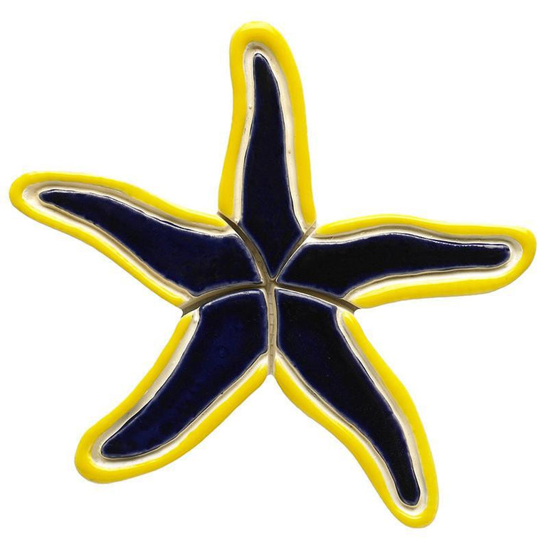BY37-7 Blue Starfish Custom Mosaics