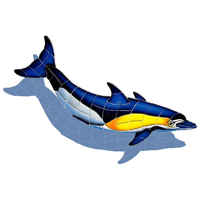 CD2-33/SH Common Dolphin - B w/Shadow Custom Mosaics