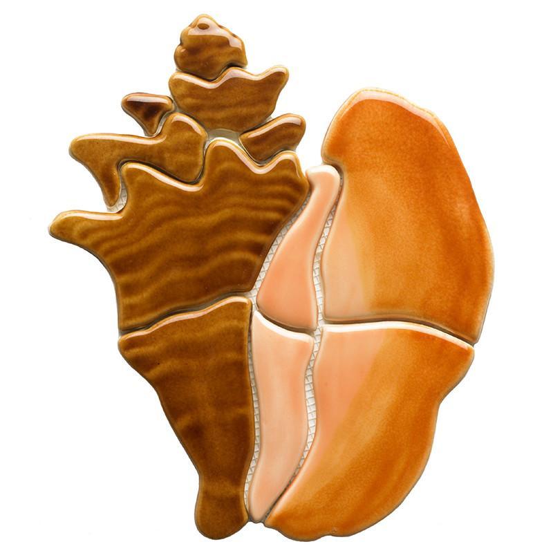Conch Shell | CS66 | Pool Mosaic – AquaBlu Mosaics