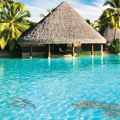 Coral Reef A | PORC-CR30A | Pool Mosaic by AquaBlu Mosaics