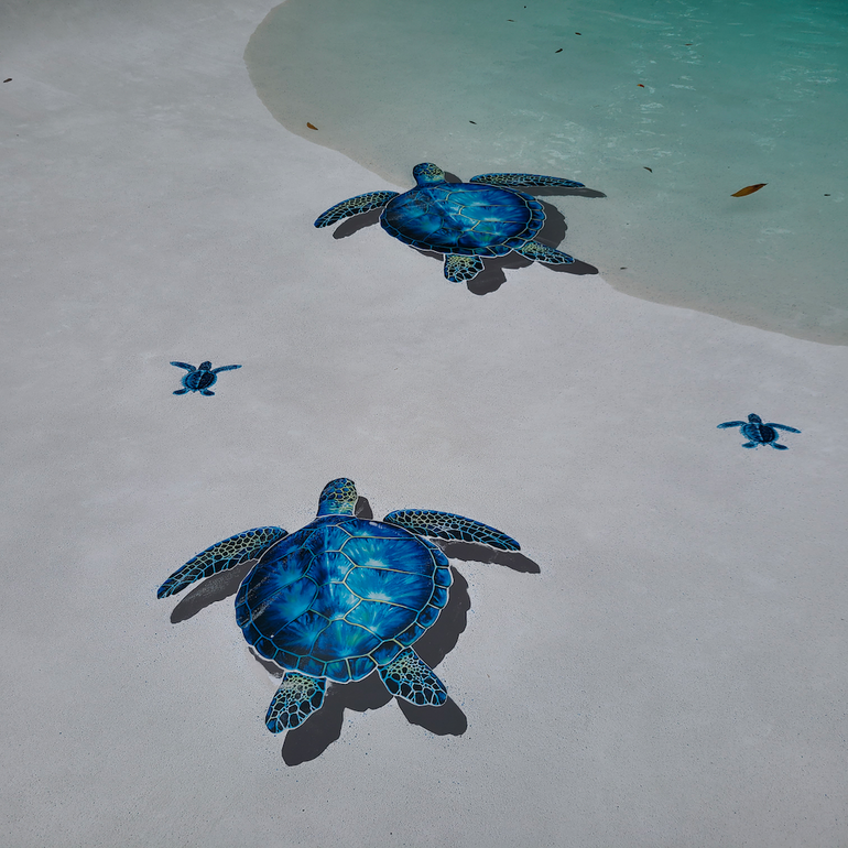PORC-BL83-24/SH Blue Sea Turtle w/ shadow
