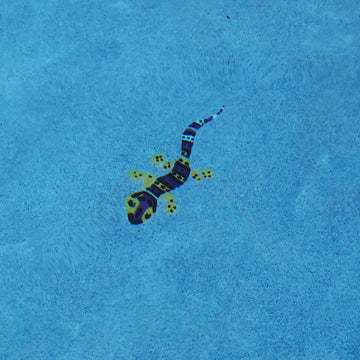 Leopard Gecko | LG62 | Pool Mosaic