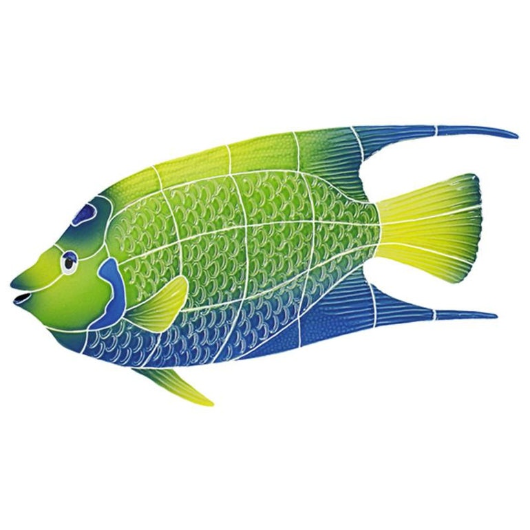 QAFYBLL Queen Angelfish, Large Artistry in Mosaics