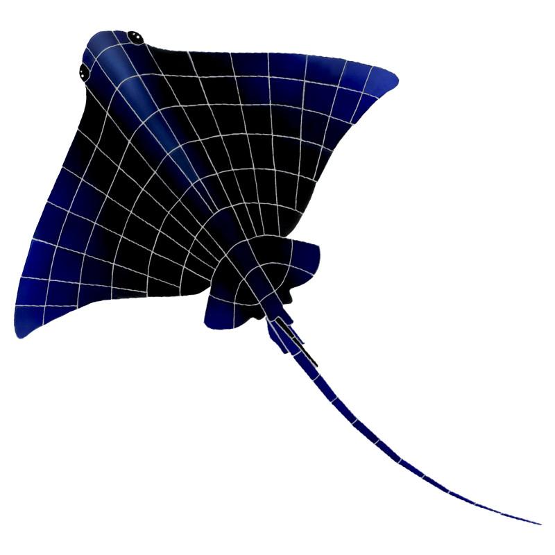 Ray | RAYBLAS | Pool Mosaic – AquaBlu Mosaics