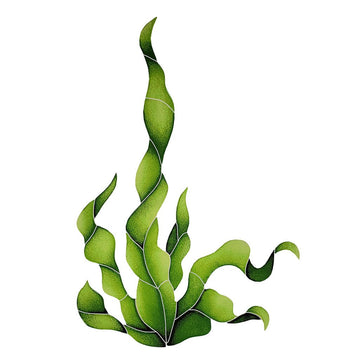 Pool Mosaics by Artistry in Mosaics