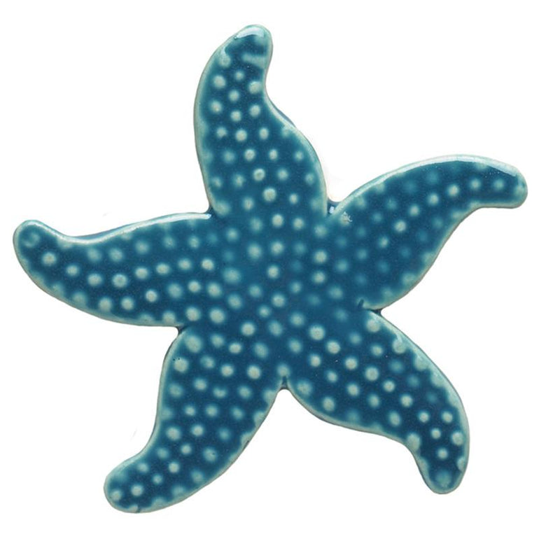 102LB Starfish - Light Blue Custom Mosaics